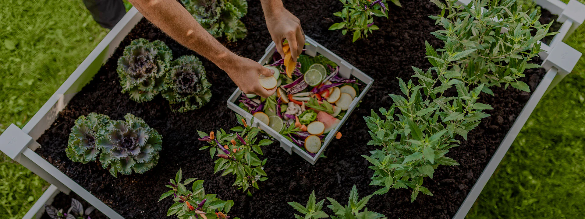 Elevate Your Home and Garden